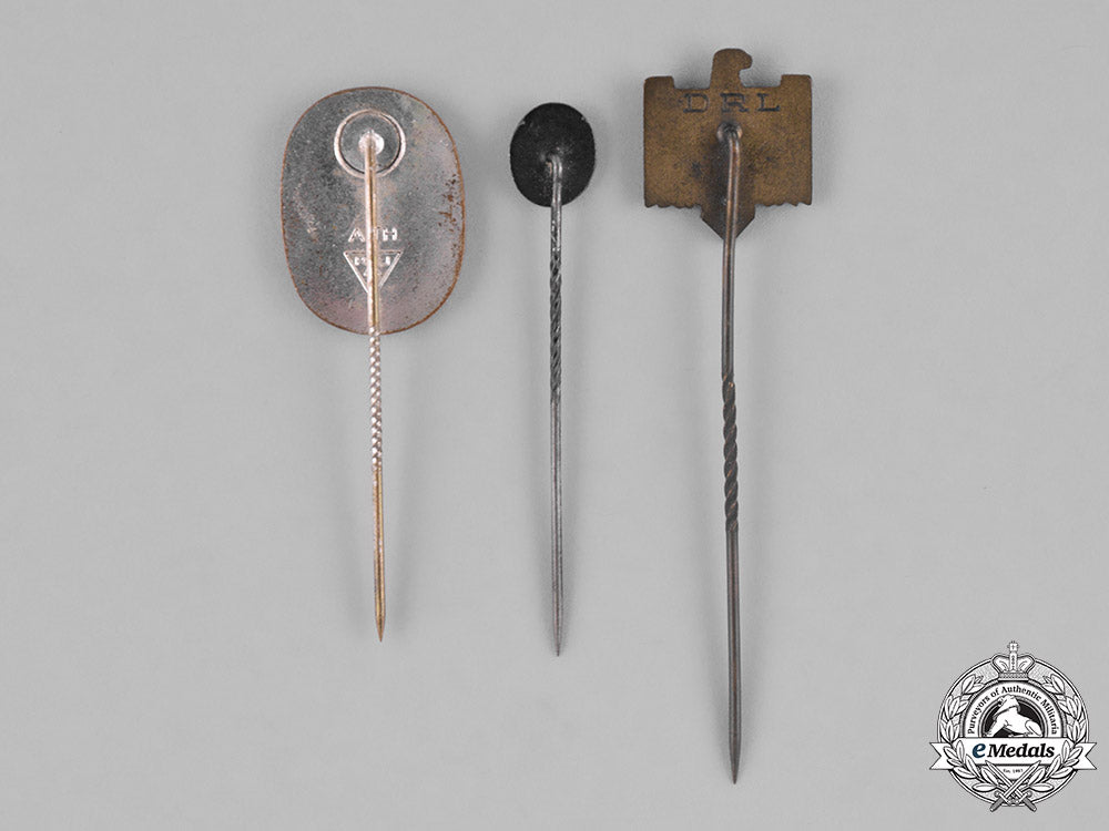 germany._a_lot_of_three_third_reich_stick_pins_m181_8600