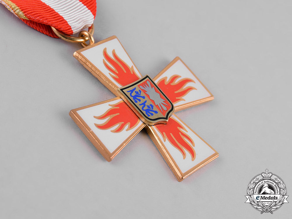 germany,_weimar._a_pair_of_fire_brigade_service_medals_m182_0952