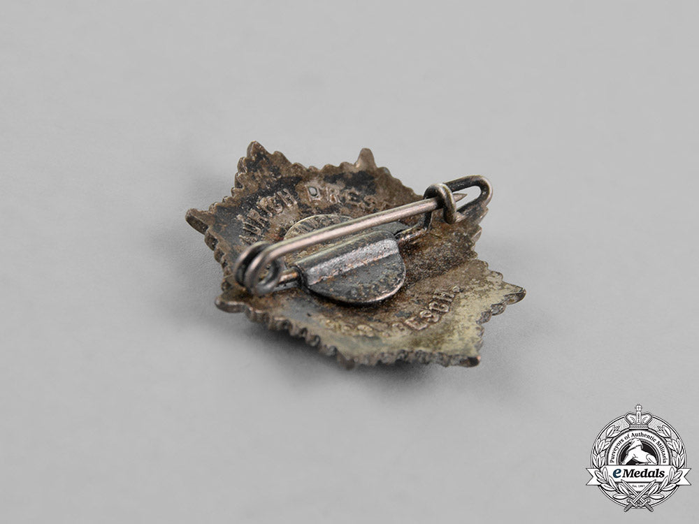 germany._an_rlb(_air_raid_protection)_membership_badge,_by_h._aurich_m18_5673