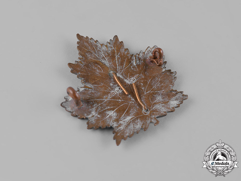 canada,_cef._a6_th_infantry_battalion"_fort_garry_horse"_cap_badge_m19_11356