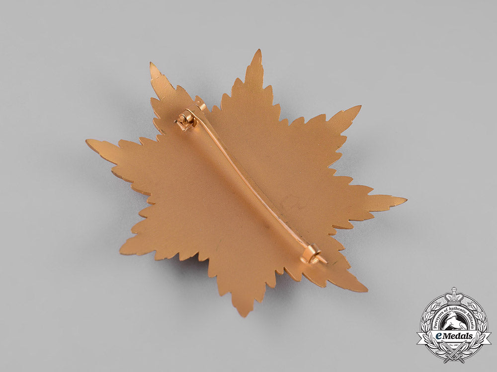 germany,_imperial._a_star_to_the_grand_cross_of_the_iron_cross,_museum_example_m19_11657