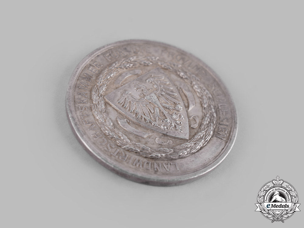 germany,_imperial._a_silesian_agricultural_association_merit_medal_m19_12632