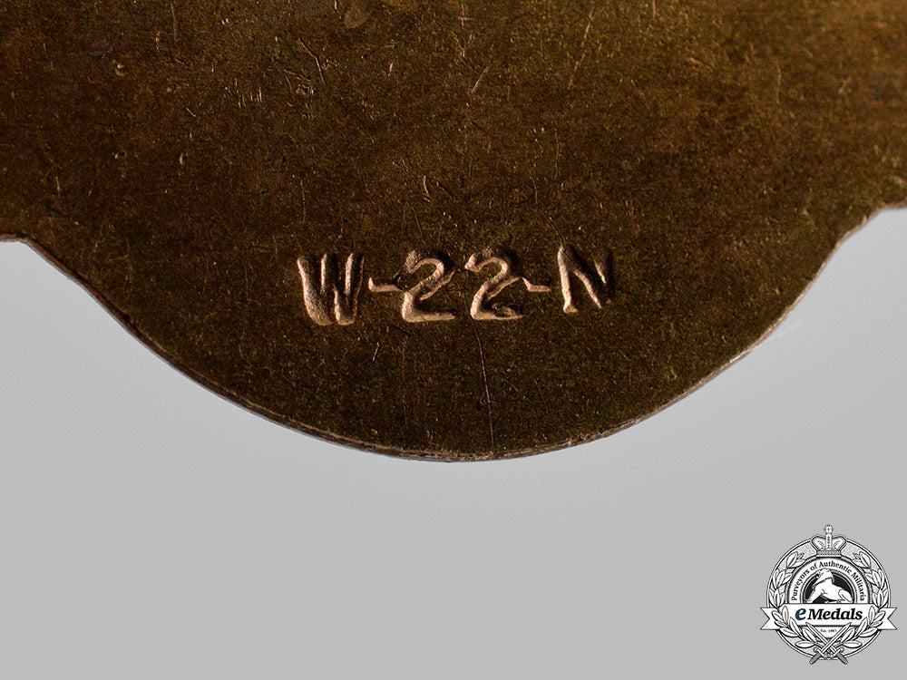 united_states._a_naval_and_coast_guard_aircrew_badge,_by_wolf-_brown,_c.1950_m19_14452