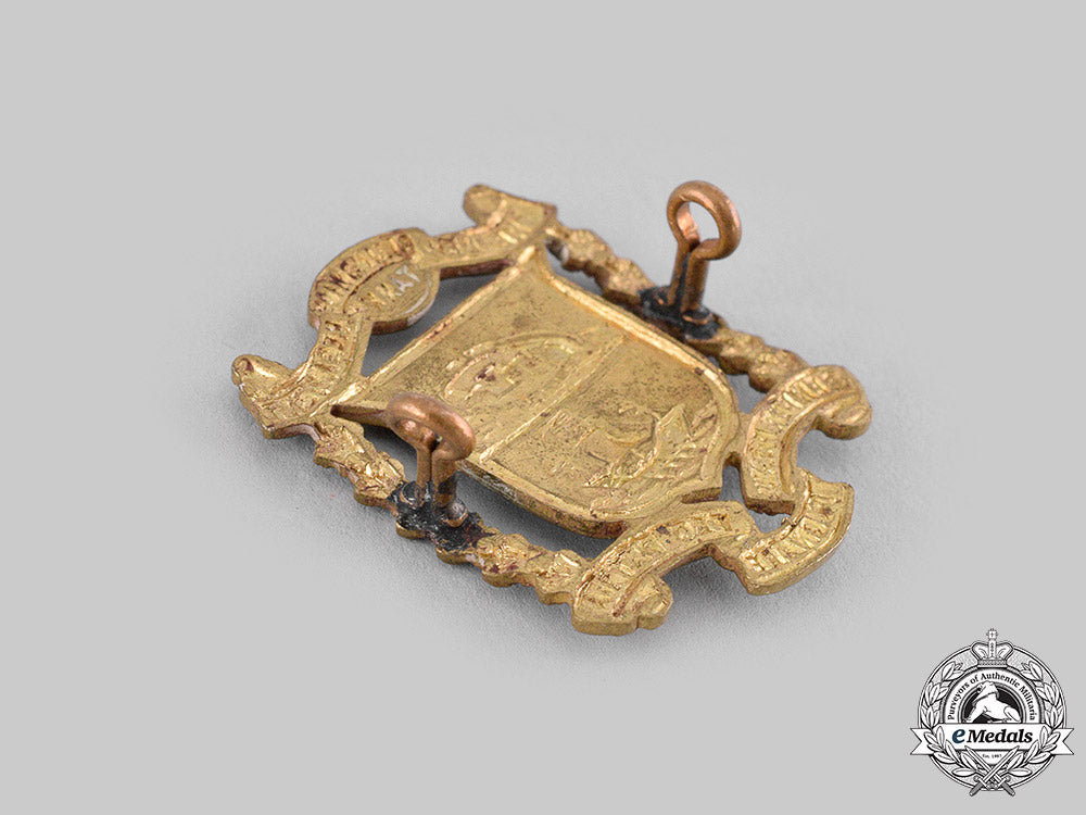 canada._the_new_brunswick_regiment(_tank)_collar_badge_pair&_shoulder_title_m19_17687