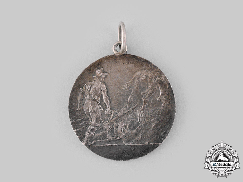 germany,_weimar_republic._a_large1925_saxony_ministry_of_agriculture_merit_medal_m19_19762