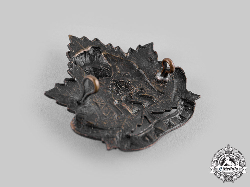 canada,_cef._a221_st_infantry_battalion_cap_badge,_by_dingwall,_c.1916_m19_20169