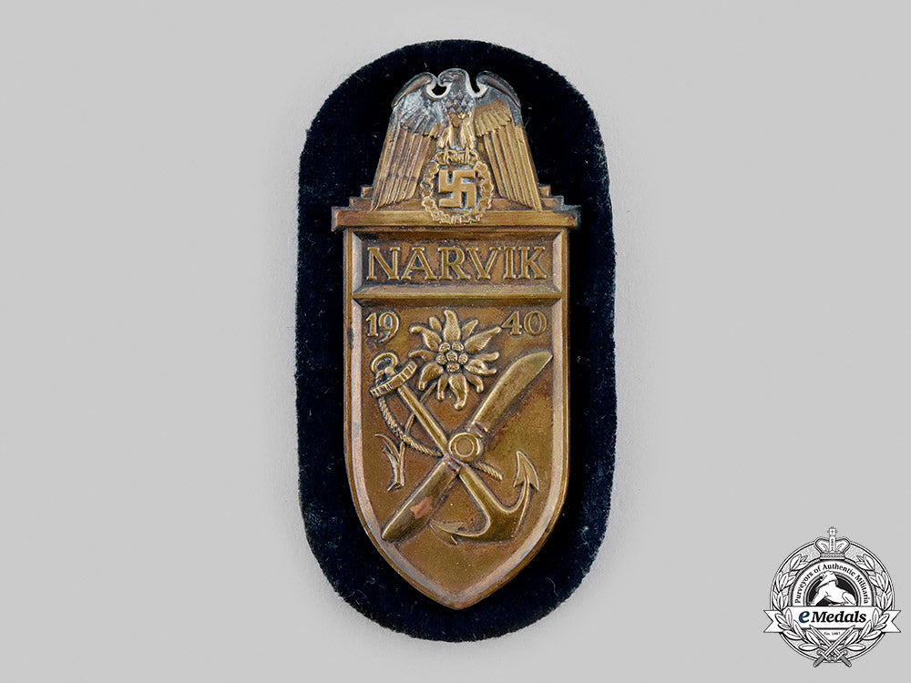 germany,_kriegsmarine._a_narvik_shield_m19_22138