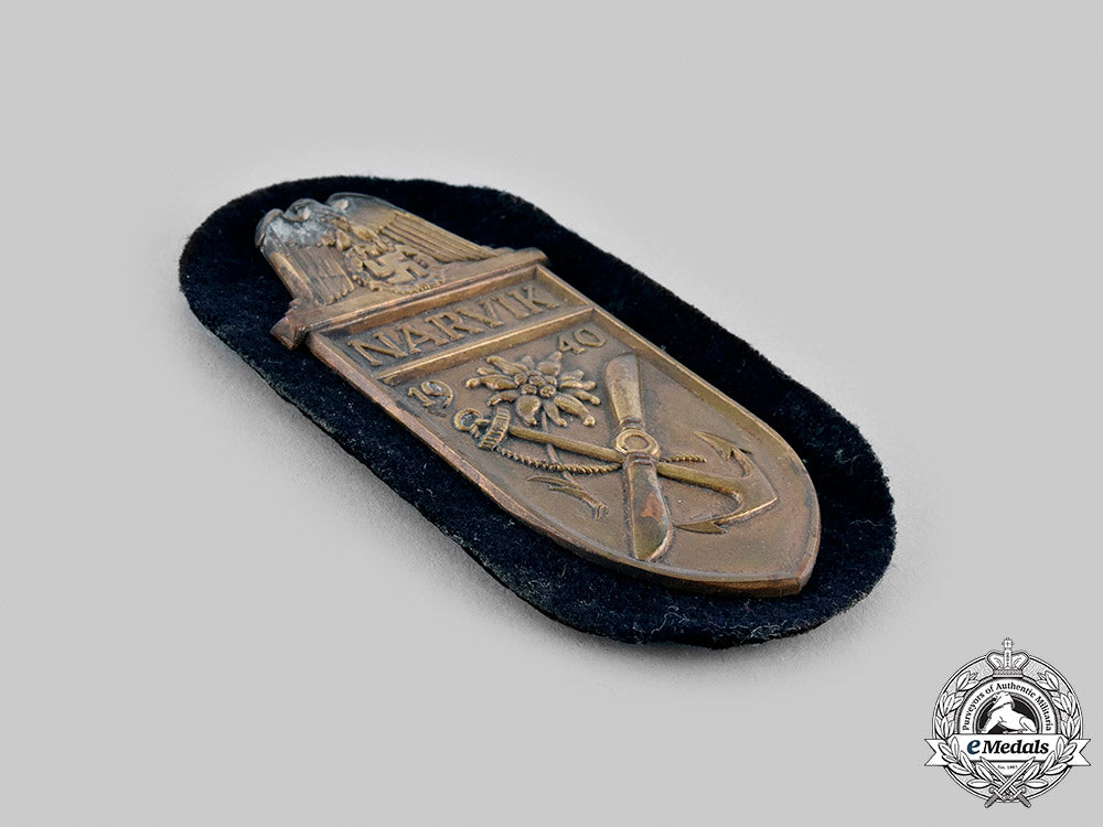 germany,_kriegsmarine._a_narvik_shield_m19_22140