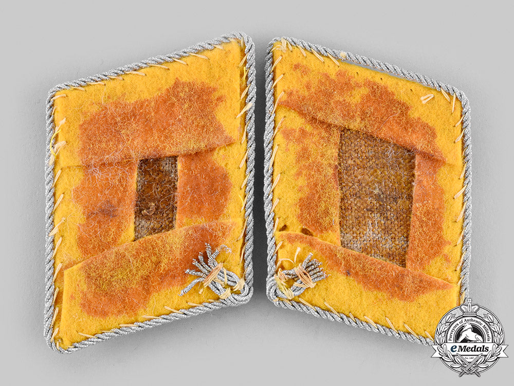 germany,_luftwaffe._a_set_of_flight_personnel_oberst_collar_tabs_m19_24027