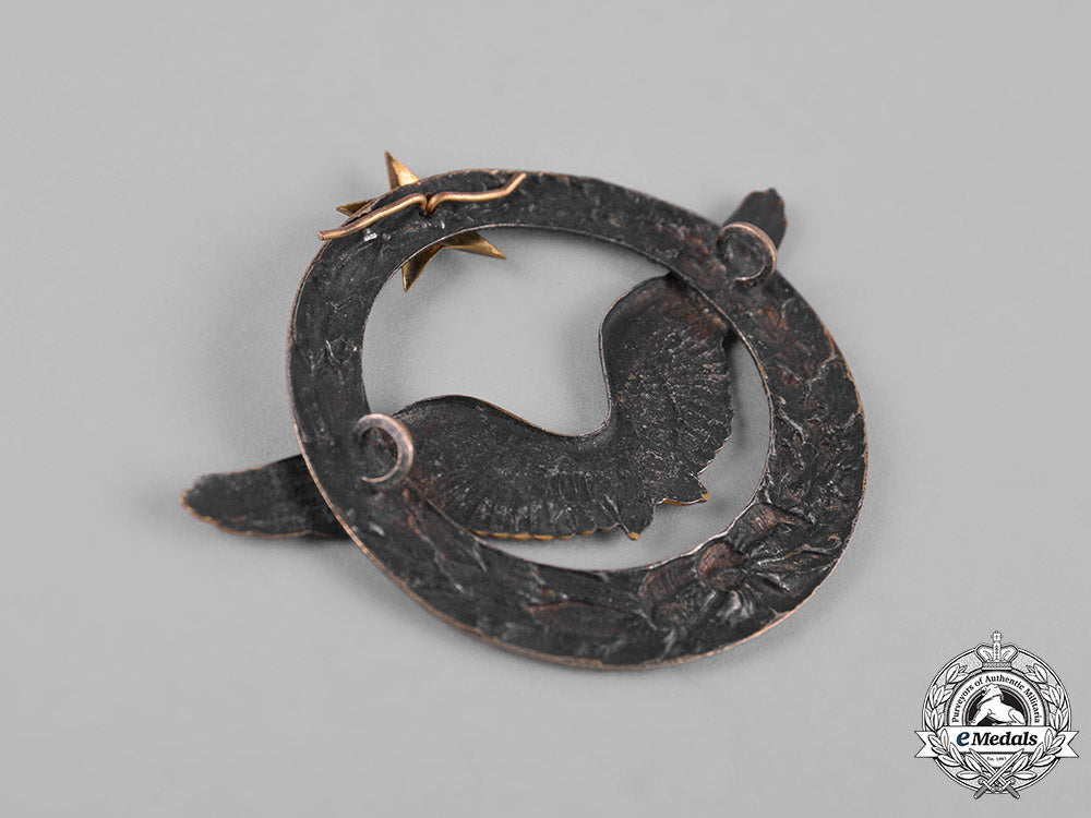 france,_third_republic._an_army_of_the_air_aircraft_pilot_qualification_badge_m19_5444