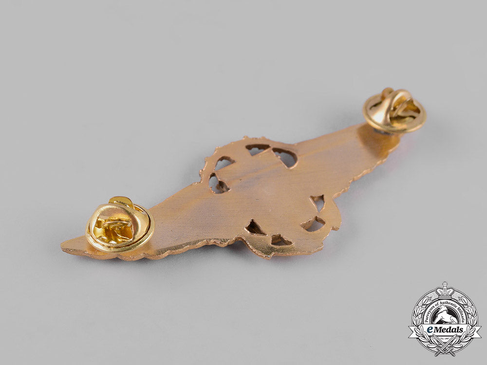 venezuela,_republic._a_naval_commander_pilot_badge_m19_8412