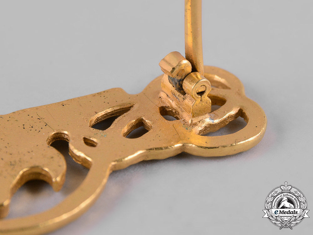 germany,_federal_republic._a_small_battle_united_clasp,_gold_grade,1957_version_m19_8743