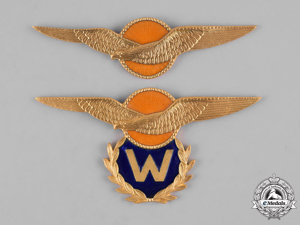 netherlands,_kingdom._two_royal_air_force_badges_m19_9450
