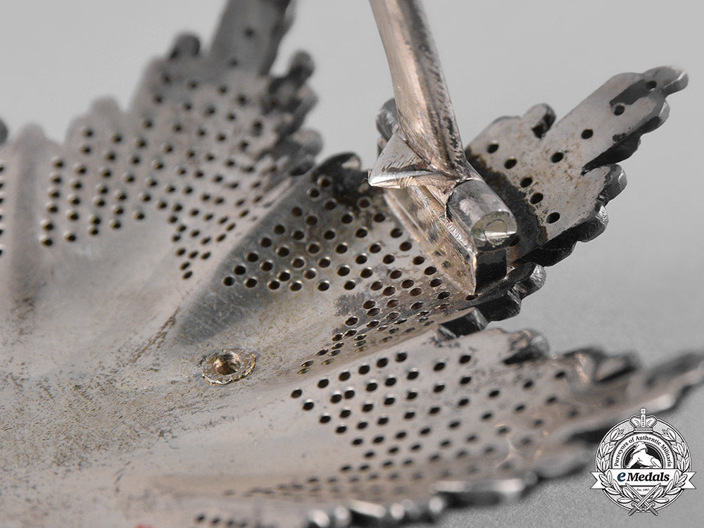 serbia,_kingdom._an_order_of_saint_sava,_ii_class_grand_officer_star,_by_fran_sorlini,_c.1935_m19_9600