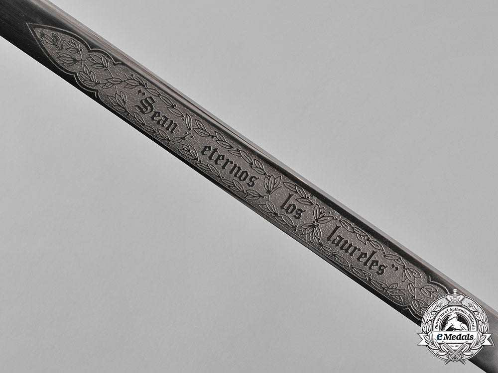 argentina._an_army_parade_dirk_and_portepee_m19_9791