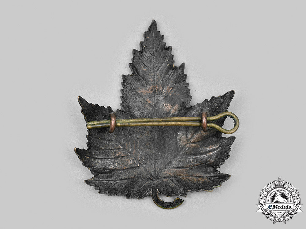 canada._a_rare_waterloo_police_badge_c.1910_m20_1970_mnc6684_1