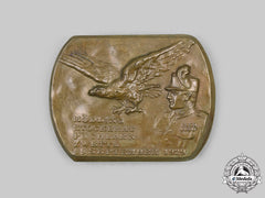 Austria, First Republic. A 1929 Heimwehr Badge