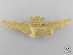 A Spanish Frano Period Pilot's Wing