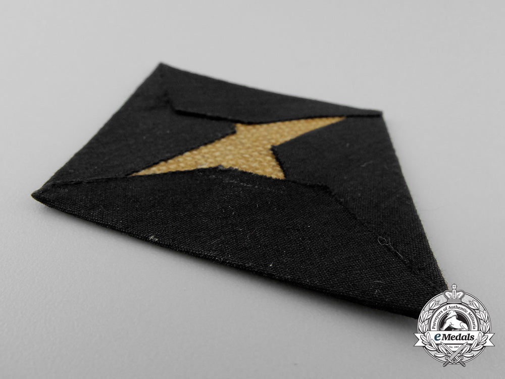 a_political_leader_sleeve_diamond_insignia_o_688