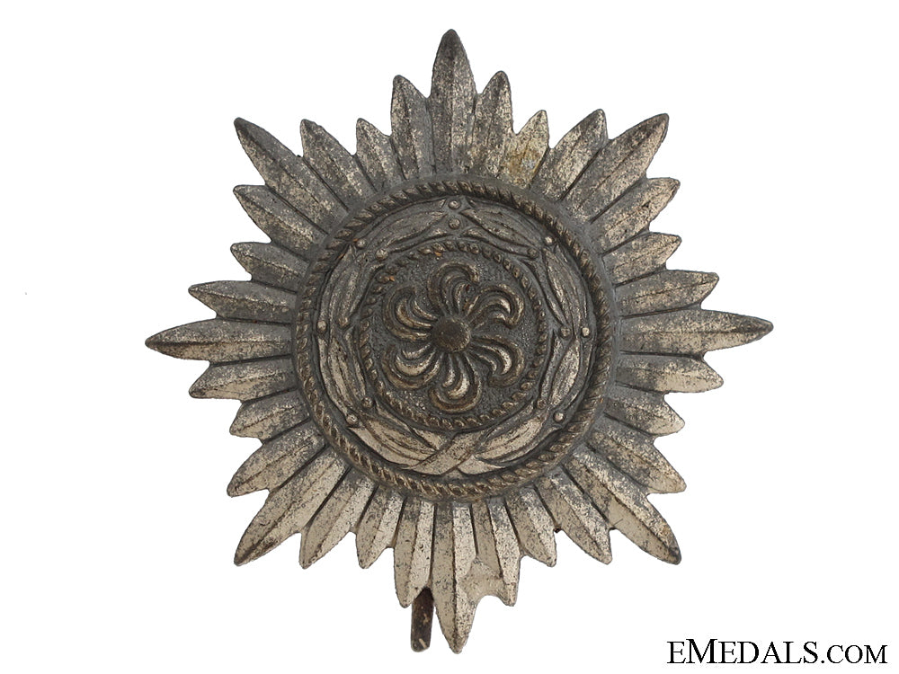 ostvolk_decoration_for_merit-_silver_grade_ostvolk_decorati_51bf6f0f462b6