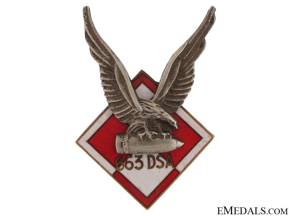 rare_polish663_squadron_raf_badge_rare_polish_663__50d5cc939c8f7