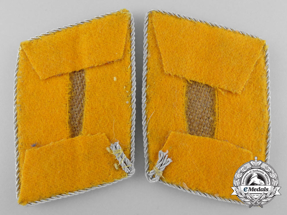 a_flight_oberstleutnant’s_collar_tabs_s0881150