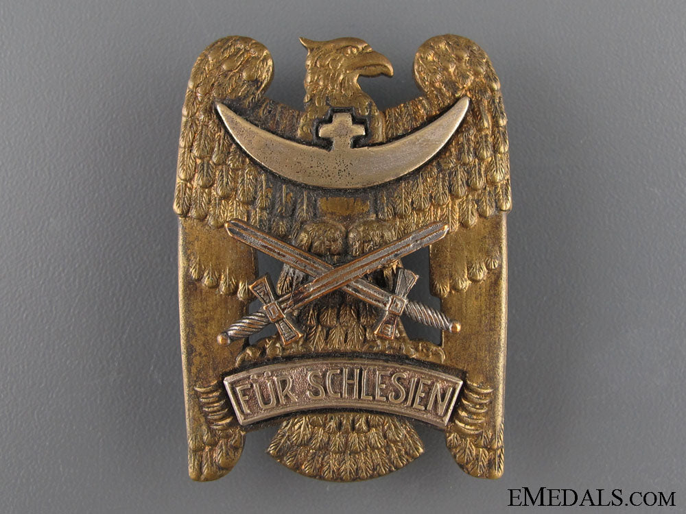silesian_eagle_with_swords-_first_class_silesian_eagle_w_520bc8e3c39bb
