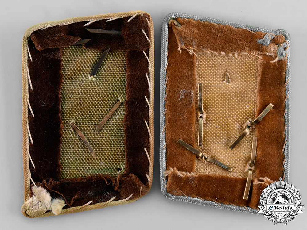 germany,_nsdap._a_lot_of_collar_tabs_tray515_6_lo_159