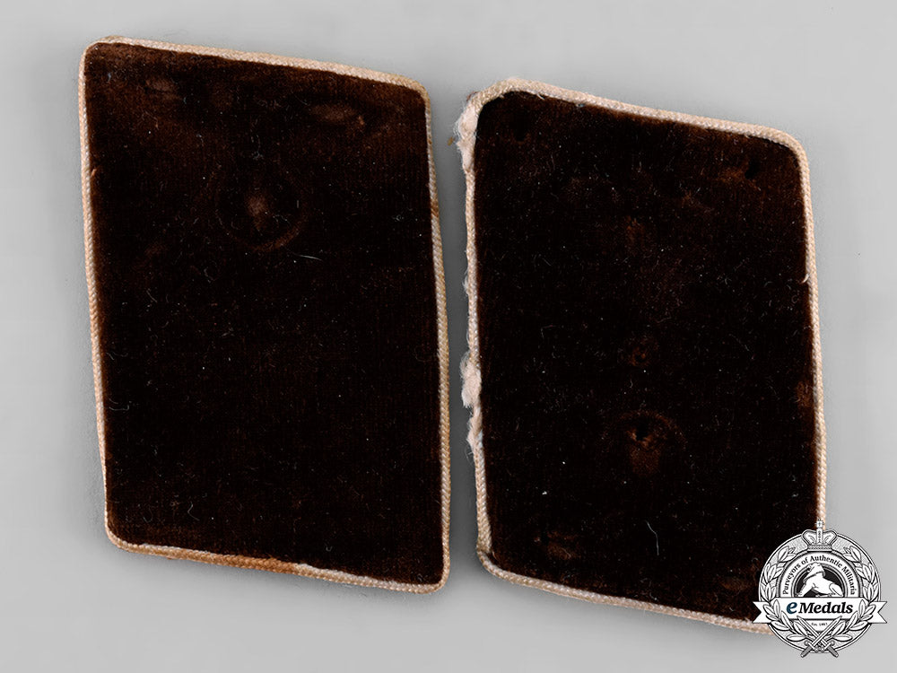 germany,_nsdap._a_lot_of_collar_tabs_tray515_6_lo_160