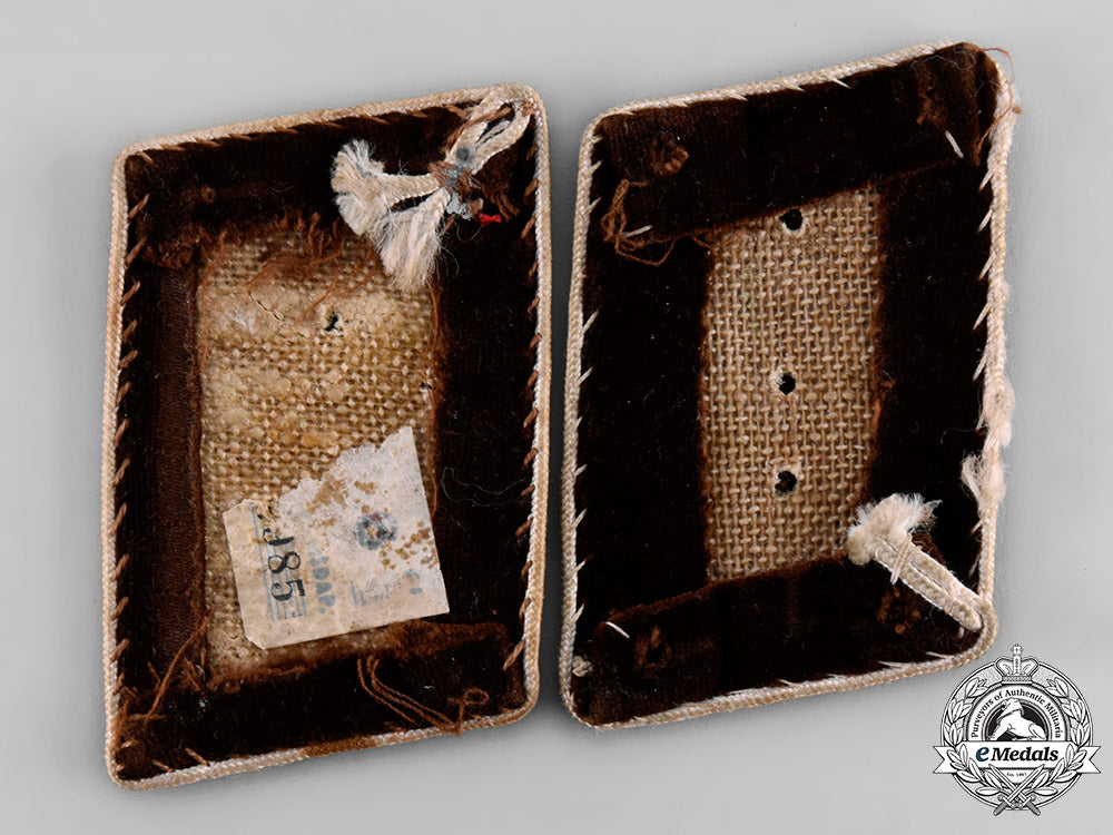 germany,_nsdap._a_lot_of_collar_tabs_tray515_6_lo_161