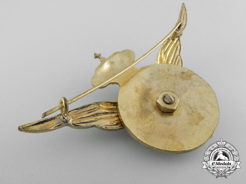 a_spanish_military_transport_pilot’s_badge_u_940_1_1
