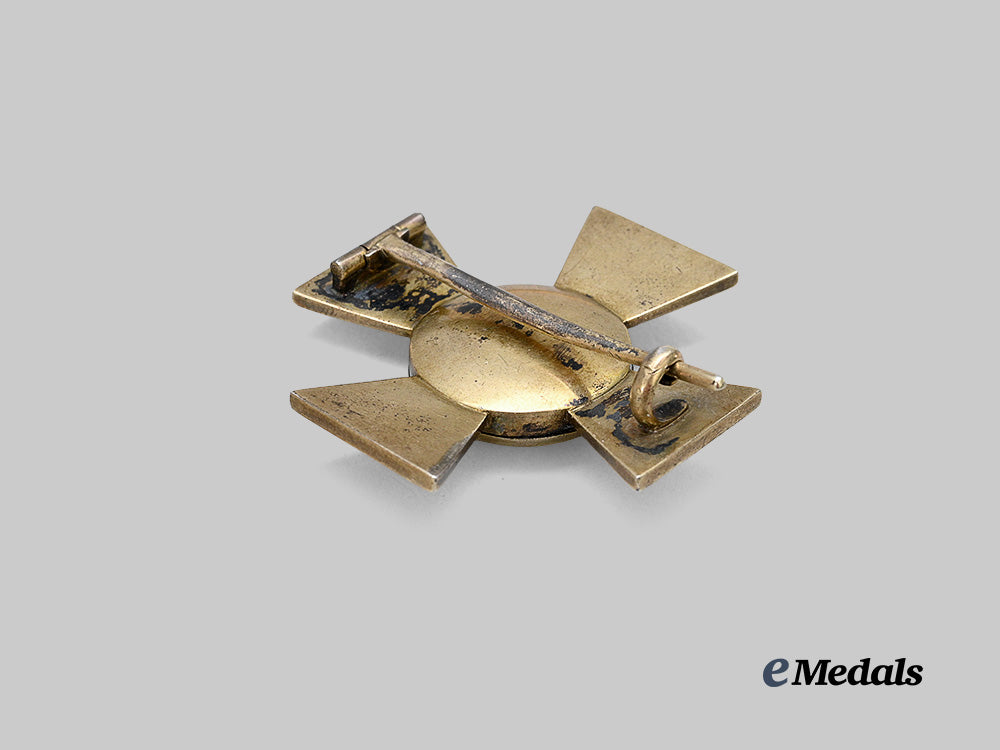 oldenburg,_grand_duchy._a_house_and_merit_order_of_peter_friedrich_ludwig,_officer’s_cross_e_medals__g62931_4
