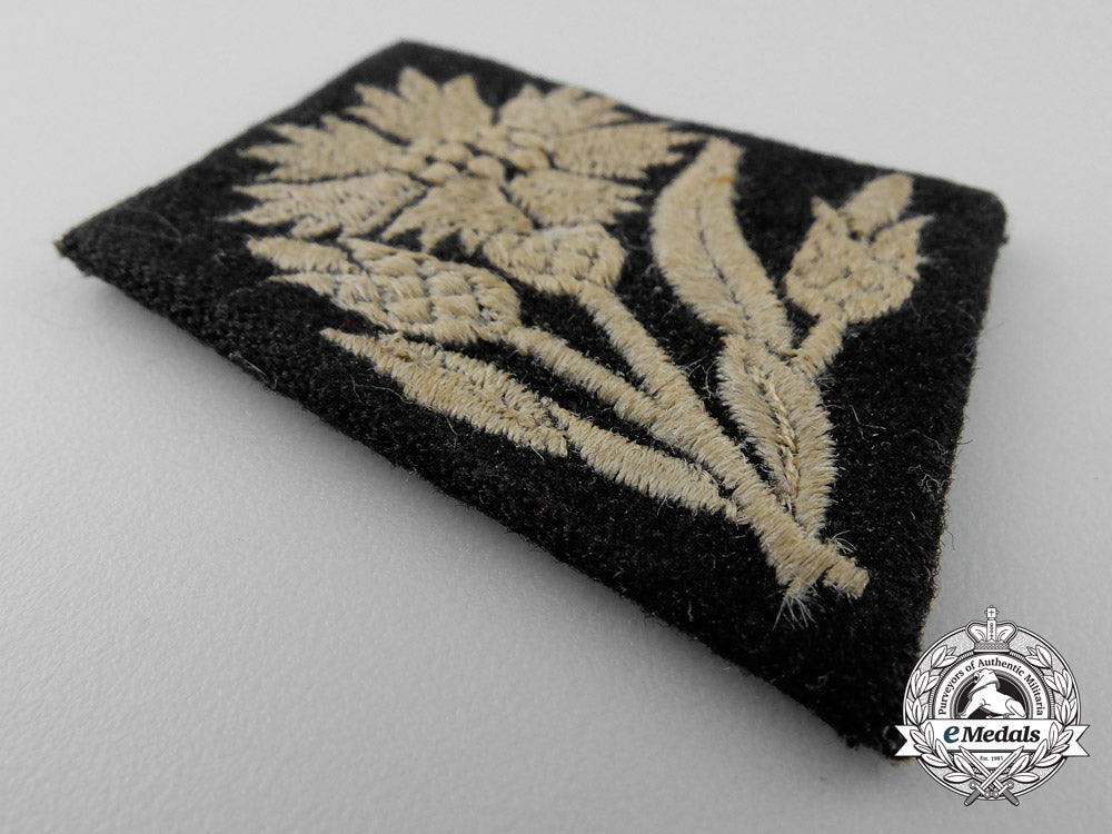 a_collar_tab_of_the22_nd_waffen-_ss_freiwilligen_kavallerie_y_072