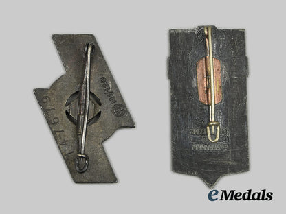 germany,_third_reich._a_pair_of_youth_badge_031_ai1_9562_1_1_1