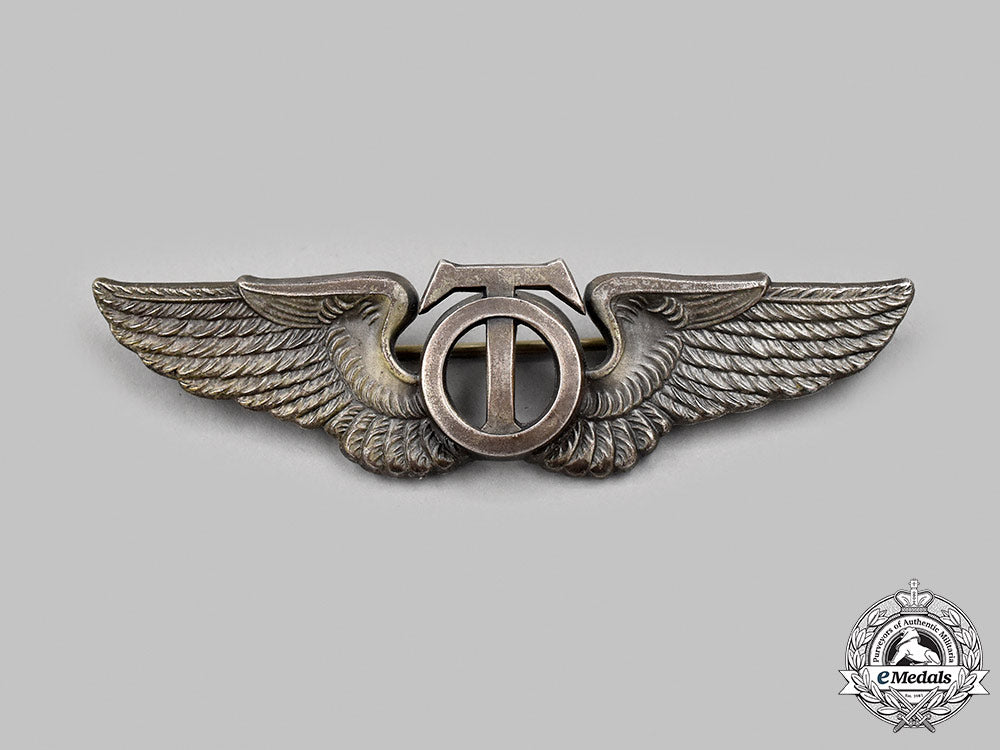 united_states._a_second_war_army_air_forces(_usaaf)_technical_observer_badge_05_m21_mnc8089