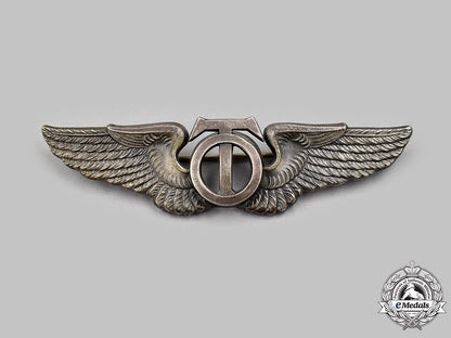 united_states._a_second_war_army_air_forces(_usaaf)_technical_observer_badge_05_m21_mnc8089