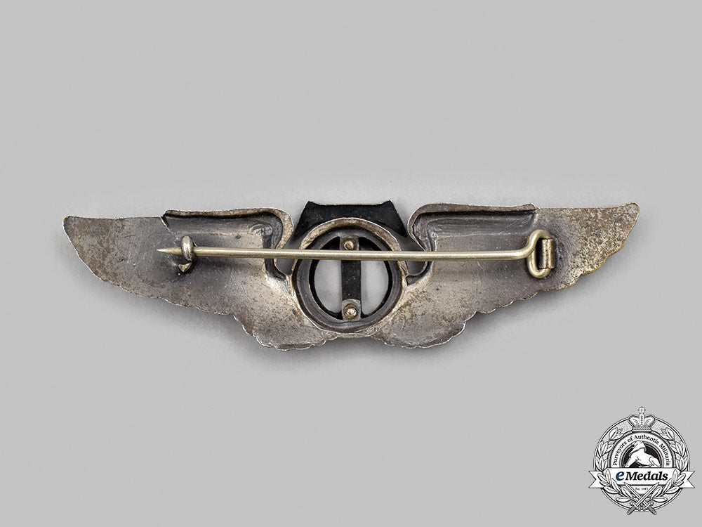 united_states._a_second_war_army_air_forces(_usaaf)_technical_observer_badge_06_m21_mnc8090