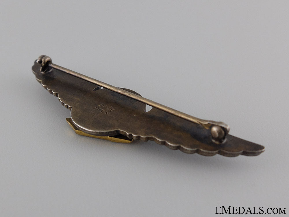 an_american_wwii_photographer's_wings_11.jpg543d3be9d238f