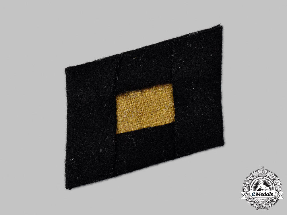 germany,_ss._a_frikorps_danmark_collar_tab_13_m21_mnc2863