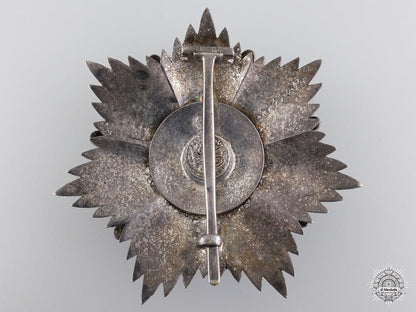 a_turkish_order_of_medjidie(_mecidiye);_breast_star_13a.jpg547f4310d6bff