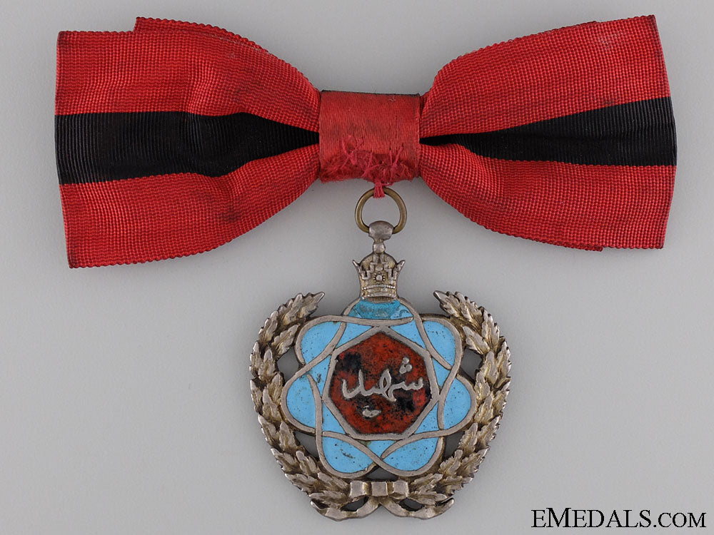 an_iranian(_pahlavi_empire);_propaganda_medal_14.jpg53dfaef22dc58