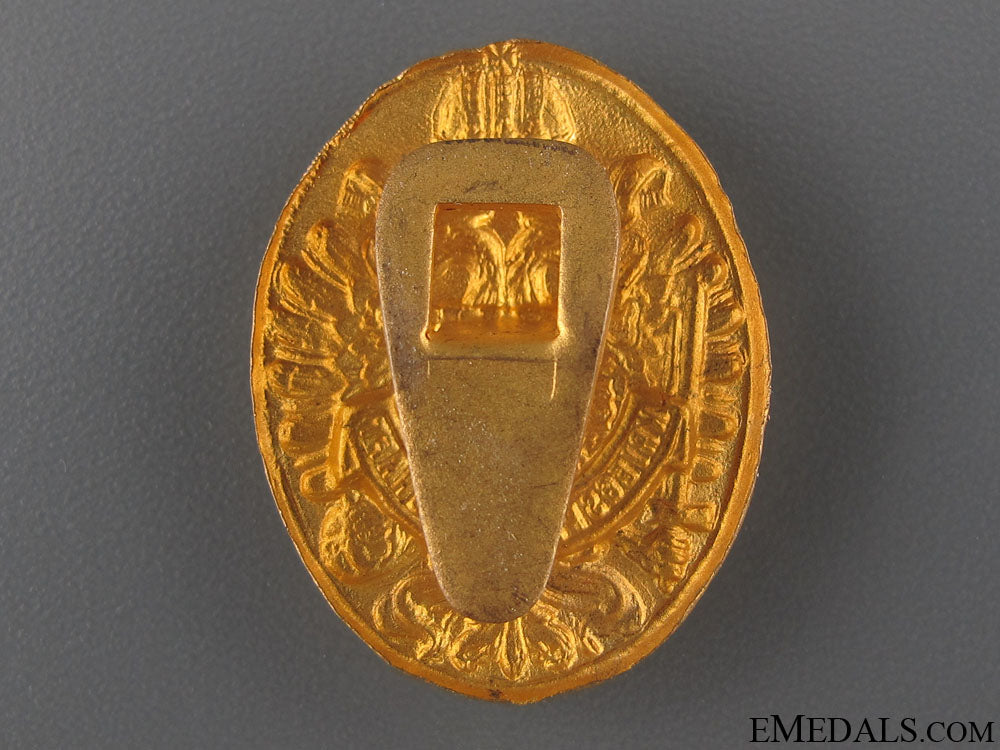 austrian_army_badge1915_15.jpg520e538f405ec