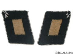 Forestry Official's Collar Tabs