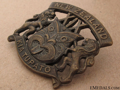 wwi_new_zealand19_th_reinforcements_cap_badge_19.jpg51a9f95465b2e