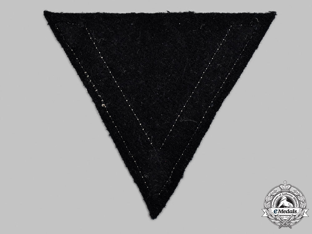 germany,_ss._an_honour_chevron_for_old_fighters_21_m21_mnc4026_1