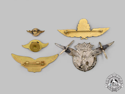 spain,_francoist_era;_france,_fifth_republic;_argentina,_republic._a_lot_of_five_air_force_badges_261_m21_mnc0359_1