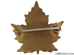 Wwi 11Th Canadian Field Ambulance Pin Cef