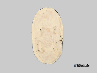 germany,_wehrmacht._a_heer_issue_narvik_campaign_shield_e_medals__g62052_3