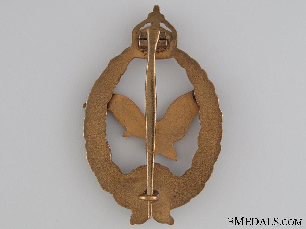 commemorative_badge_for_naval_pilots&_observers_2.jpg5329c12162ec8