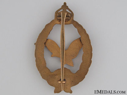 commemorative_badge_for_naval_pilots&_observers_2.jpg5329c12162ec8